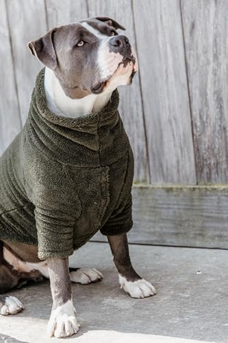 Kentucky - Hundedecke - Teddy - Grün - Größe S/M