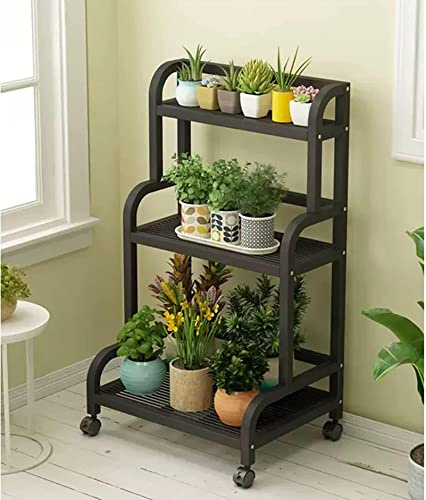 Étagère échelle multicouche en métal noir – Étagère de rangement élégante pour intérieur/extérieur pour pots de fleurs, jardinières et décoration d'intérieur dans le salon, la terrasse, le bureau