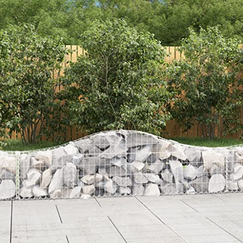 Tonture Gabions with High Arch, Pack of 5, Galvanised Iron 200 x 30 x 40/60 cm, Robust Gabion Baskets as Decorative Garden Barrier, Sturdy Plant Pot for Patio, Balcony and Garden
