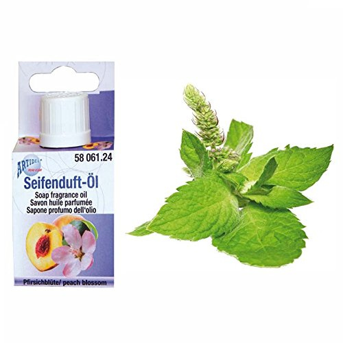 CREATIV DISCOUNT NEU Sapolina Seifenduft, 10 ml, Pfefferminze