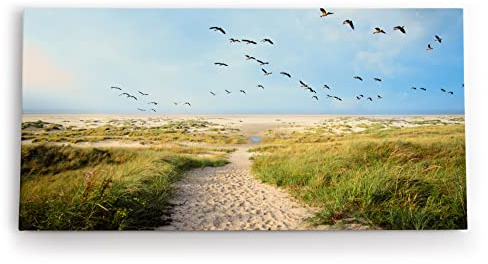 Paul Sinus Wandbild 120x60cm Ostsee Strand Sand Meer Entenflug Horizont