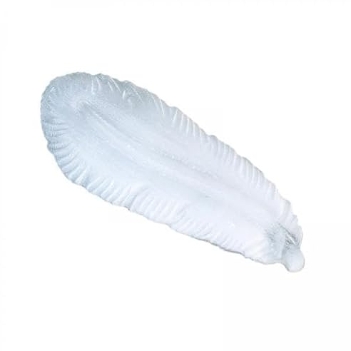 misppro Juego de 2 cuencos de selenita tallados a mano, de piedra natural, cuencos decorativos para uso doméstico y de mesa, forma de pluma