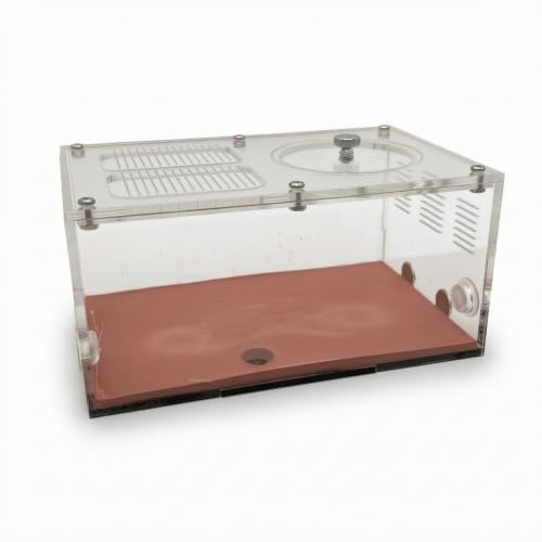 Chosertory Ameisenhabitat Behälter Ameisenfarm Formicarium mit Klaren Acrylplatten Und Massivem Sockel aus Beton Modular Erweiterbar Verschraubte Konstruktion, Aktivitätsbereich