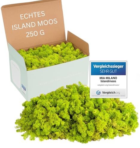 Mia Milano Islandmoos konserviert hellgrün | Moos Deko zum Basteln | 250g Echtes hellgrünes Dekomoos Isländisch für Moosbild | Mooswand lebend