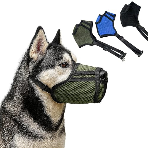 Muselière pour Chien colenumone,muselière en Filet Respirant pour Petits,Moyens et Grands Chiens-Protection Contre Les morsures Les mâchures et Les égratignures,Permet de haleter et de Boire (Vert,S)