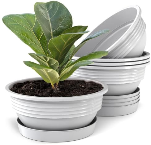 Plastard 5er Set Pflanzenschalen Ø 40 cm mit Untersetzer rund – Weiß | Witterungs-, UV- & frostbeständig, inkl. 30 cm Untersetzer, ideal für Garten, Balkon & Innenbereiche, Deko Blumenschale