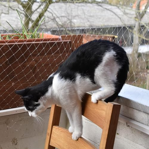 Oracra Vogelschutznetz Heimfensternetzbarriere für Katzenhund, Leichtes Kirschbaum Gemüsegarten Anti -Vogel -Netz, Weiße Pflanzengitterabdeckungen für Die Obstgartenfarm (Size : 25x25m/82x82ft)