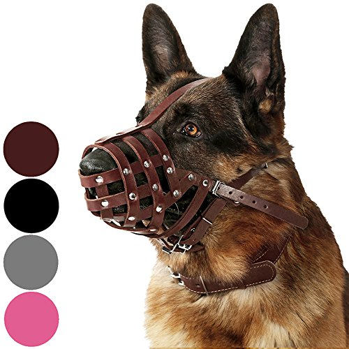 CollarDirect Maulkorb für Hunde, Deutscher Schäferhund, Dalmatiner, Dobermann, Setter, Lederkorb, mittelgroß, für große Rassen, Schwarzbraun (M, Kastanienbraun)