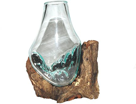 SAWA Glasvase Blumenvase 25 cm individuell auf Treib-Holz, Wurzel-Holz-Vase