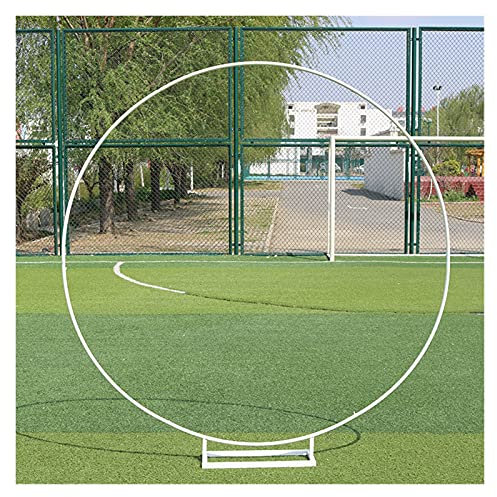 TYUTYU Wrought Iron Wedding Mariage Round Backdrop Arch Stand Birthday Party DIY Decoration Stage Circle Arch Outdoor Background Frame (Color : Deep Pink, Size : 2.2m)