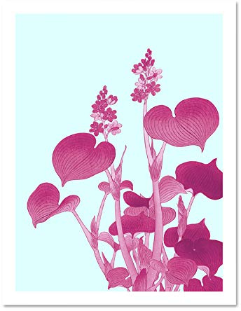Wee Blue Coo Ohara Koson Blooming Hosta Large White Framed Art Print Wall Poster 18x24 inch
