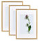 Atryinous Lot de 3 cadres photo A3 en bois de chêne 29,7 x 42 cm, avec verre Acrylglas, avec passe-partout, pour photos A4, 21 x 30 cm, à suspendre verticalement ou horizontalement, à poser pour