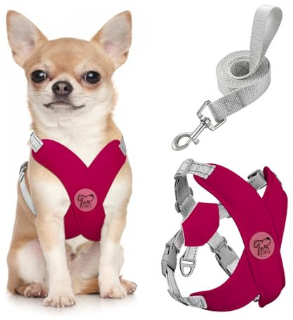 Pawaboo Hundegeschirr mit Hundeleine Set, X-Rahmen Verstellbares Anti Zug Anti-Erstickung Hund Brustgeschirr für Kleine, Mittelgroße Hunde & Welpen, Atmungsaktive Hundeweste mit Leine, S, Magenta