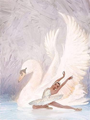 5D Diamant Painting Full Drill Set Wasser Ballerina Schwanen Nacht 30x40cm DIY Diamond Painting Bilder, Kreuzstich Diamant Gemälde Kits, Mosaik Diamond Malerei Kunst Basteln Wand Eingang Decoration