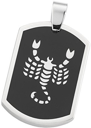 DOOSTI Sternzeichenanhänger Skorpion/chirurgischer Edelstahl 316L / Höhe 3cm - mit Gratis Gravur