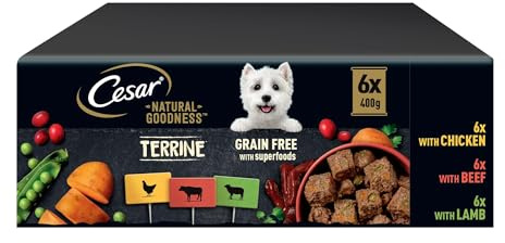 Cesar Natural Goodness - Wet Dog Food - for Adult Dogs - Mixed Selection in Loaf - 6 x 400 g