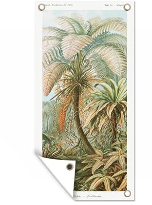 MuchoWow Outdoor-Poster Poster Wanddeko draußen Deko Garten Gartenposter 80x160 cm Vintage - Alte Meister - Farne - Pflanzen - Natur