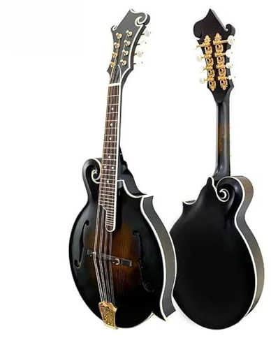 Mandolin For Beginners Professional F Style Solid Body Matte Finish Mandolin Instrument For Beginner