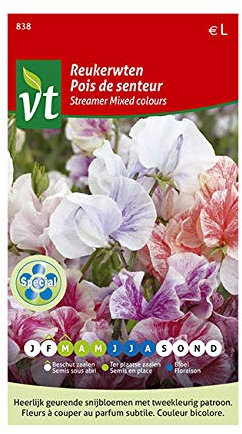 Pois de senteur Streamer Graines - Plante grimpante à fleurs au parfum très agréable