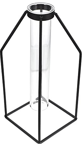 ULTNICE Geometric Vase Glass Flower Vase with Iron Art Frame Glass Test Tube Hydroponic Planter Terrarium Container Desktop Plant Decor