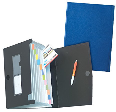 Herlitz 1978048 Fächermappe (A4 PP, 12 Fächer) farbig sortiert (1 Stück, sortiert (zufällige Auswahl))