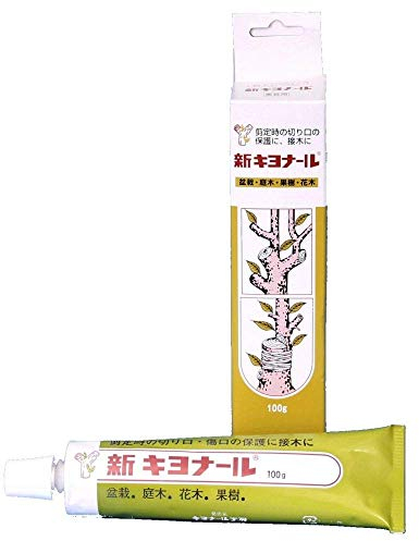 Japan Bonsai-Wundpaste von Kaneshin 100 gr., Kiyonaru 61044