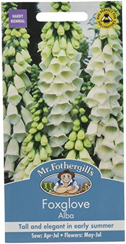 Mr. Fothergill's 15665 Foxglove Alba Flower Seeds, white