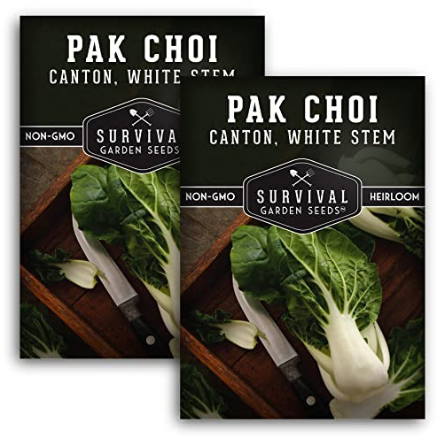 Survival Garden Seeds - Canton White Stem Pak Choi or Bok Choy Seed for Planting - 2 Packs with Instructions to Grow Brassica Rapa Chinensis in Your Home Vegetable Garden - Non-GMO Heirloom Variety