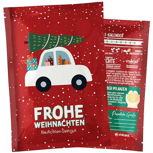 valeaf Dein Weihnachtsbaum zum Pflanzen I Blaufichte Samen I dein Baum 2030 I tolles Geschenk, Wichtelgeschenk u Adventskalender Füllung I Christbaum Tannenbaum Samen mit valeaf Samen
