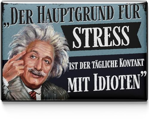 LANOLU Kühlschrankmagnete lustig- Der Hauptgrund für Stress - lustige Magnete mit Sprüchen und witzigen Motiven 8x5,5cm