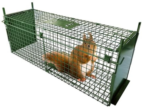 ARIFARO Animal Cage Trap (100 x 29 x 30cm) Double Door Animal Cage Trap Humane Live Metal Cage Trap for Rabbits, Cats, Squirrels, Raccoons, Moles, Gophers