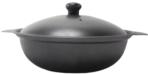 Mikinona Cazuela de Hierro Fundido de 16 Cm Tapa de Hierro, Olla Antiadherente para Guisos y Estofados, Utensilios de Cocina para Uso Doméstico y Cocina Casera