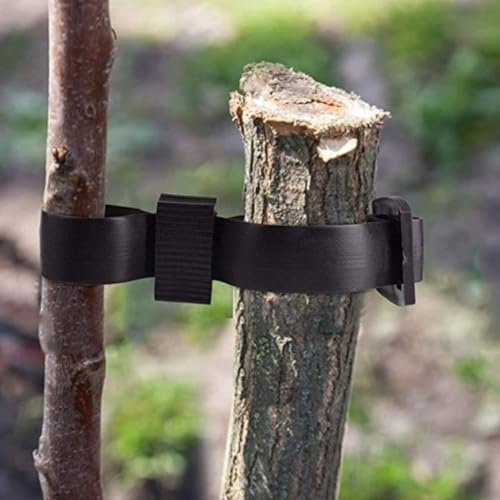 Paquete de 8 correas de soporte ajustables para árboles frutales y arbustos con hebilla para árboles frutales, jardín, patio, exterior, PVC, flexible, color negro (60 x 2,5 cm)