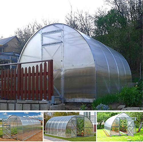 Invernadero de policarbonato con túnel, 3 x 4 m, reforzado, para huerto, jardín, plantas, invernadero, caja de 4 x 3 m