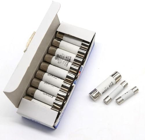 10 Stück Schmelzsicherungen 5 x 20 mm 6 x 30 mm 10 x 38 mm Flinke Rohrsicherungen 250/500 V 0,5 1 2 3 4 5 6 8 10 15 16 20 32A AMP Sicherung Ersatzsicherung
