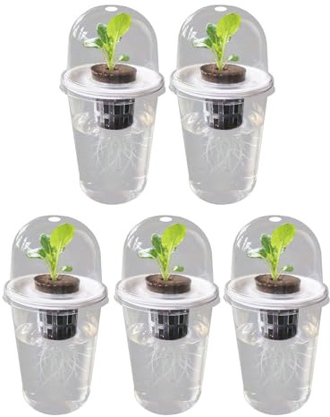 ZYKEJJDDAK Vaso trasparente visibile per piante trasparente Scatola di coltivazione per vivaio Indoor Garden Serra Vassoio per piantine Tazza idroponica