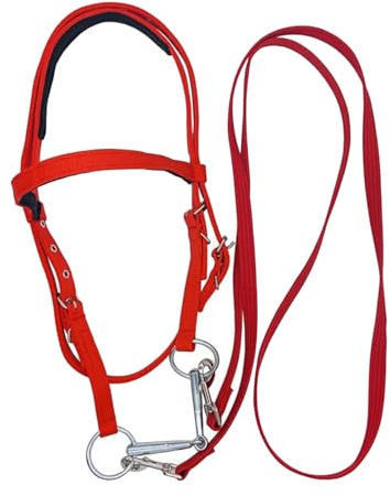 Cabecera ecuestre: cabestro de caballo rojo, riendas de montar ajustables, brida resistente | Construcción de nailon con Hardware metálico, muserola acolchada suave para caballos adultos, caballos jóv