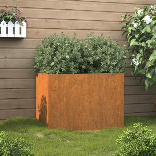 Rantry Vaso per Piante 62x47x46 cm Acciaio Corten