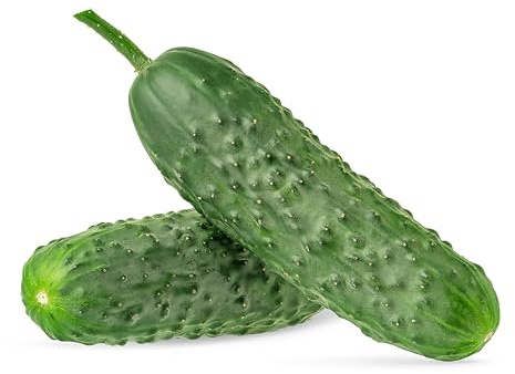 Graines de concombre bio Cornichon de Paris cornichon croquant sans amertume très productif idéal pour conserves potager terrasse treillis semences Love My Nature
