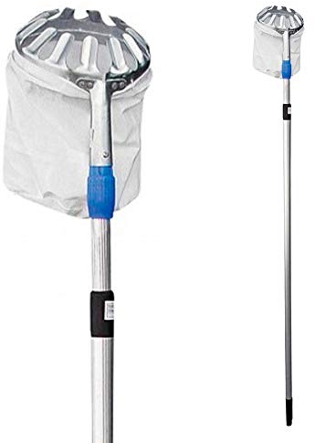 Grouw 74989 Recogedor de Frutas Telescopico Extensible de 130-240cm, Colores Surtidos