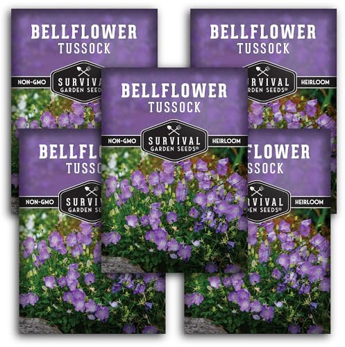 Survival Garden Seeds Tussock Bellflower Seed for Planting - 5 Packets with Instructions to Plant and Grow Campanula carpatica in Your Home Flower Garden - Non-GMO Heirloom