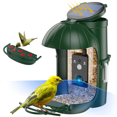 Vogelfutterspender mit Kamera,Cozion Vogelhaus mit Kamera Solar,Futterstationen für Wildvögel,1080P HD Aufnahmen von Vögeln/Foto Automatisch Aufnehmen, Vogelkamera für Vogelliebhaber-32GB (Grün)