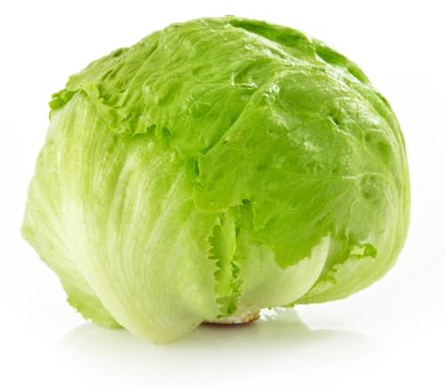 Fresh Iceberg Lettuce I Fresh & Crunchy I Pack of 1