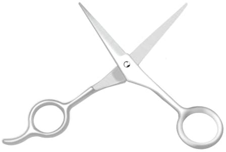 BIUDECO Forbice Per Parrucchiere Acciaio Inossidabile Strumenti Professionali Per Taglio e Acconciatura Per Saloni e Uso Domestico Argento