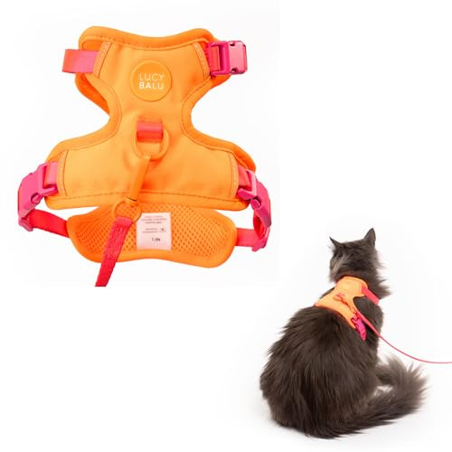 LucyBalu® Explorer Katzengeschirr mit Leine – Berry Orange XS/S | Brustgeschirr-Set mit AirTag-Fach, verstellbar, atmungsaktiv, für Freigang & Ausflüge