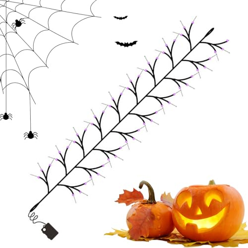 Générique Lichterkette Halloween – Efeu-Lichterkette für Party für Haus | wirtschaftliche Beleuchtung aus Efeu, für Dekoration von Wohnzimmer, Terrasse, Garten, Amateuren, Veranstaltungen