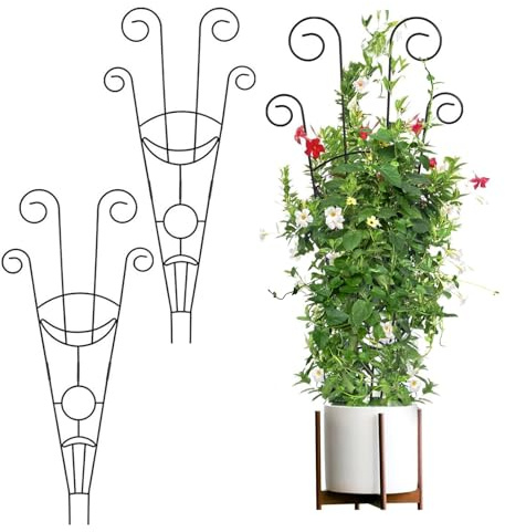 Riuulity Support de Vigne Grimpante, Treillis de Jardin en Fer pour Plantes en Pot, Support Vertical pour Roses et Vignes, Taille 76 X 30 Cm pour Votre Jardin