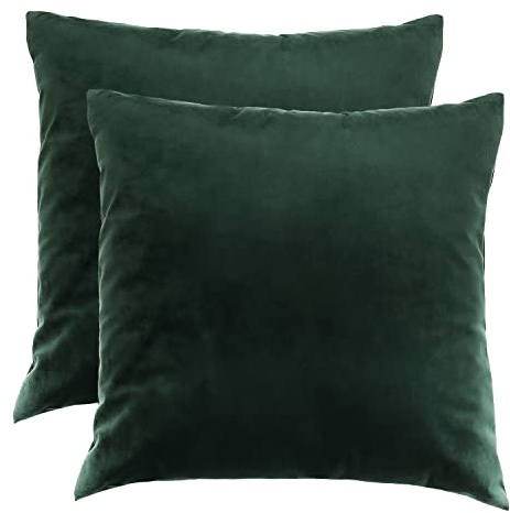 Ferocity Samt Kissen Set Samtkissen 2 x Dunkelgrün Kissenbezug Zierkissen Grün 45x45 cm mit Füllung Decorative Kissenhülle Sofakissen für Wohnzimmer Schlafzimmer Bottle Green [091]