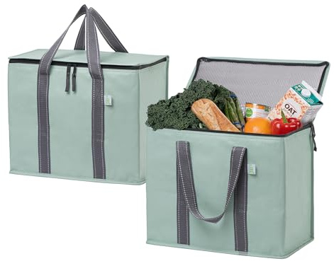 VENO 2 Pack Cooler Bag and Insulated Grocery Bags for Food Delivery, Collapsible Cooler. Reusable Shopping Bags for Groceries with Hard Bottom, Zippered, Foldable, Heavy-Duty (Light Green, 2 Pack)