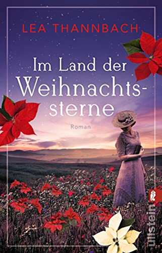 Im Land der Weihnachtssterne: Roman (Die Weihnachtsstern-Saga 1)